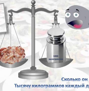 Russian: Eat, Drink, Sleep