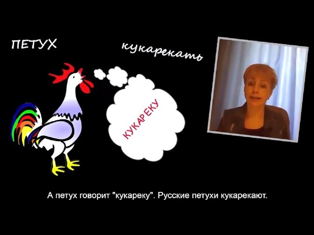What Do Animals Say in Russian? - Russian From Russia