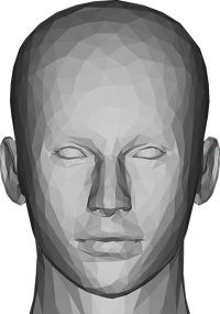 human head