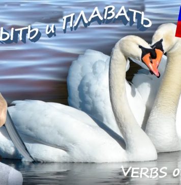 Russian Verbs of Motion: ПЛЫТЬ и ПЛАВАТЬ